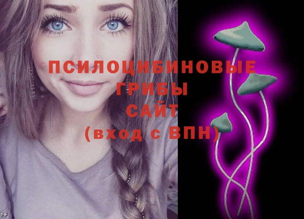 амф Абаза