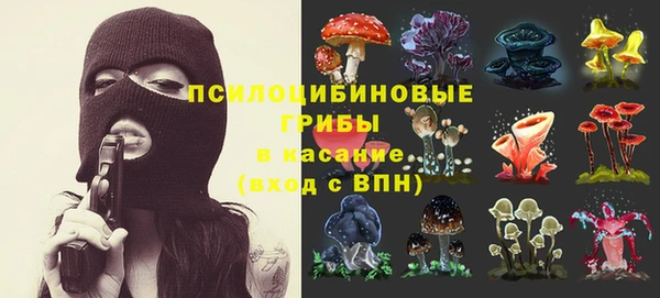 амф Абаза